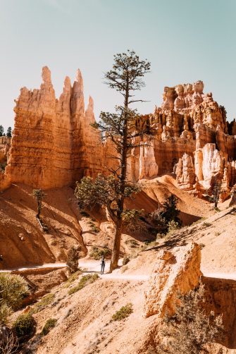 Capitol Reef, Bryce Canyon et Zion — Les parcs nationaux de l’Utah, partie&nbsp;2 