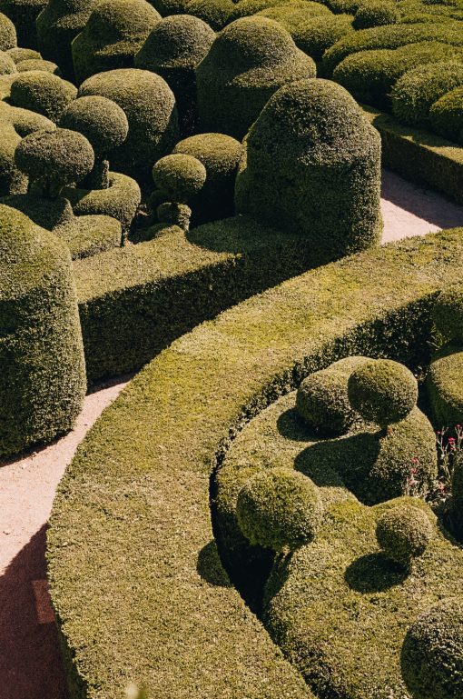 Voici pourquoi on prend nos photos à l&rsquo;argentique + notre sélection d&rsquo;appareils&nbsp;photo